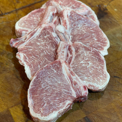 Iberico Racks Spanien